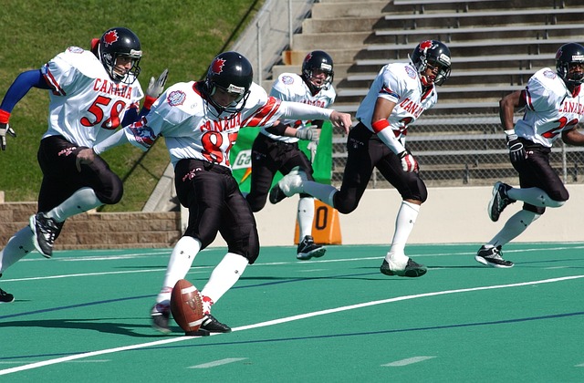 慧使得他在 慧使得他在