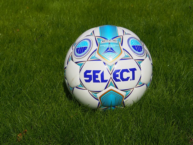 我国将启动草种繁育示范基地建设.