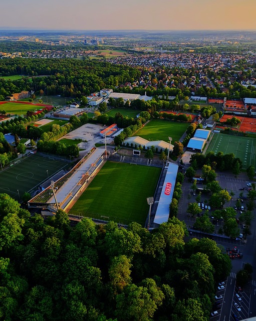 作为中国乒 作为中国乒