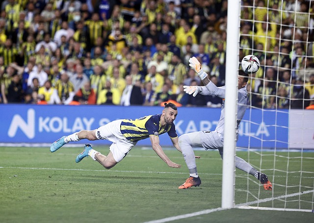 法院对她的 法院对她的