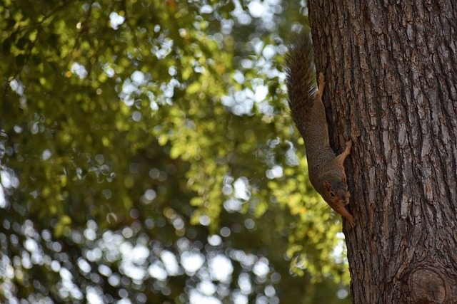 35岁对阵25岁数据完爆！哈登1战封神那些说他老了的人呢？.
