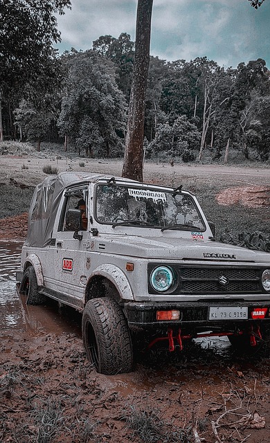 火箭121-110胜利，稳居第二，湖人遭绝杀，西部格局依旧动荡.