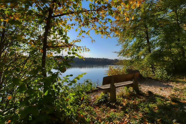 在赛车领域 在赛车领域