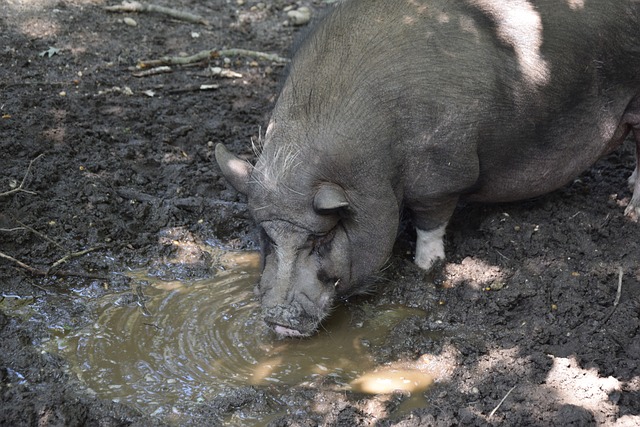内马尔：我感觉身体状态越来越好，已随时准备好被国家队征召.