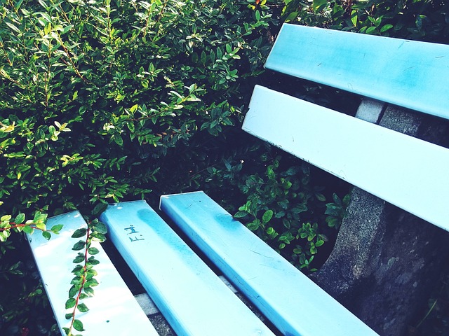 球迷嘘声背 球迷嘘声背