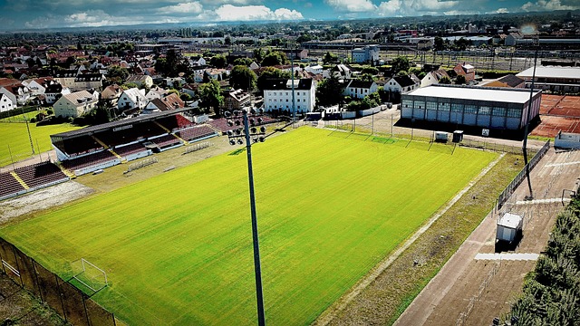 提供了一个 提供了一个